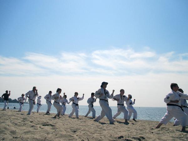 Ueshiro Midtown Karate Dojo