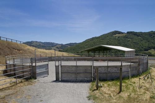 Marshall Hall Riding Academy