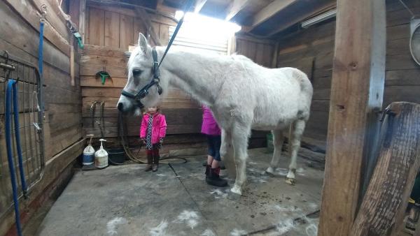 Centerline Tack (At Brighton Stables)