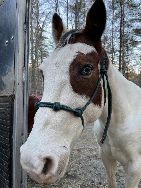 Rusty Spur Trail Rides