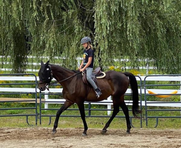 Oak Hill Equestrian Center