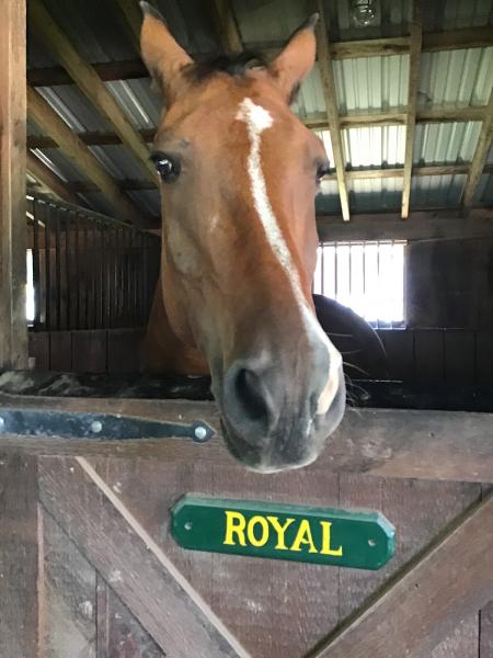 Oak Hill Equestrian Center