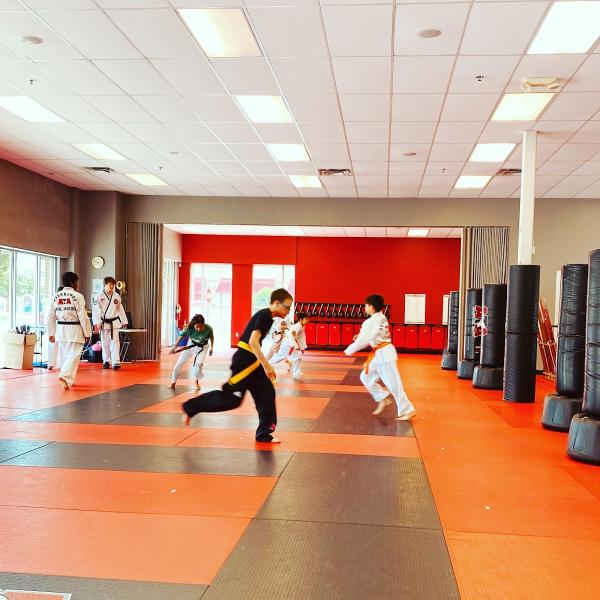 Karate Atlanta Milton