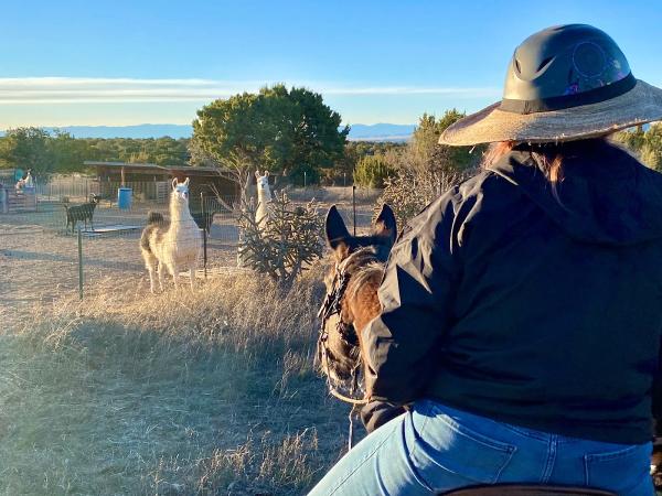 Vision Quest Horseback Rides