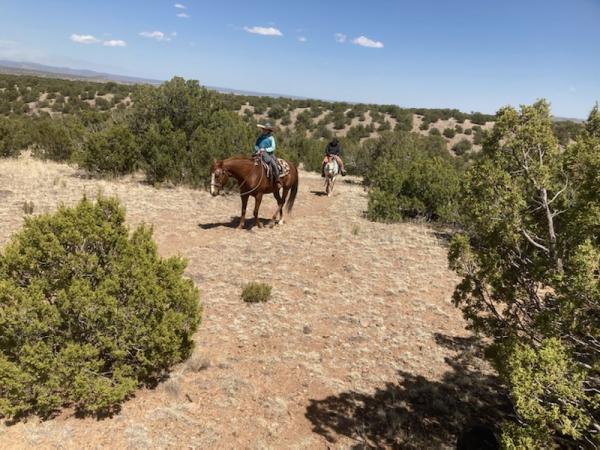 Vision Quest Horseback Rides