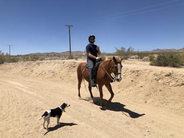 Triple C Ranch Horse Hotel