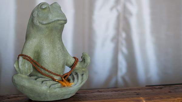 Laughing Frog Yoga