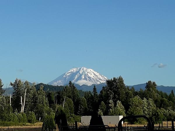 Midnight Mountain Farm