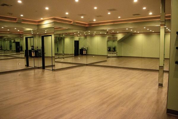 The Wild Yogi Studio
