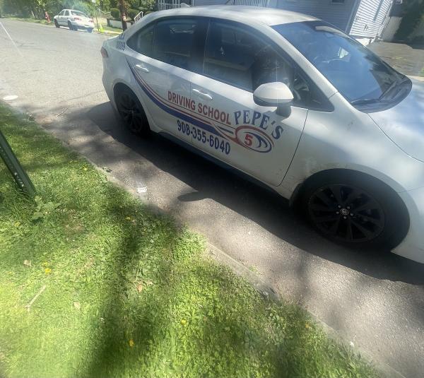 Pepe's Driving School