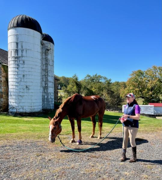 20/20 Horsemanship