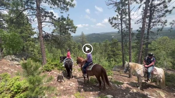 Andy's Trail Rides