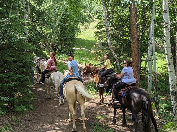 Andy's Trail Rides