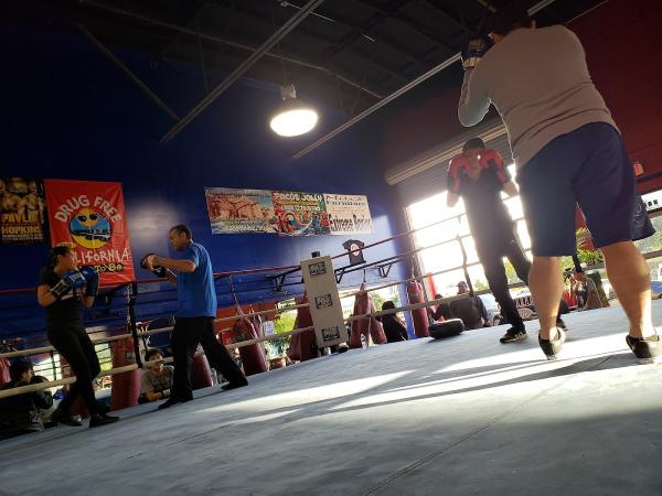 Extreme Boxing School