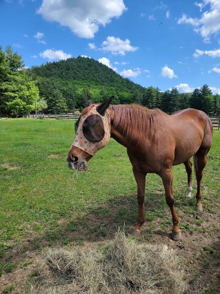 Mountain View Rocking B Ranch (Formerly Bennett's Riding Stable)