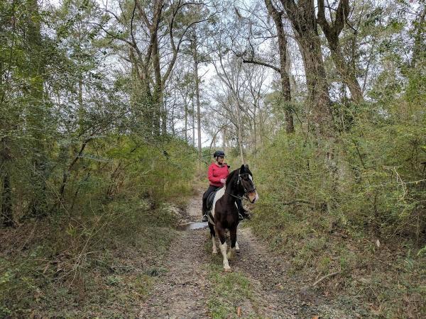 Saddlecreek Plantation & Equine