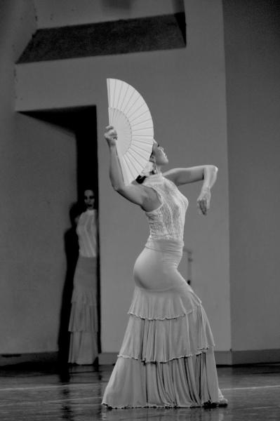 Flamenco DE Perfil