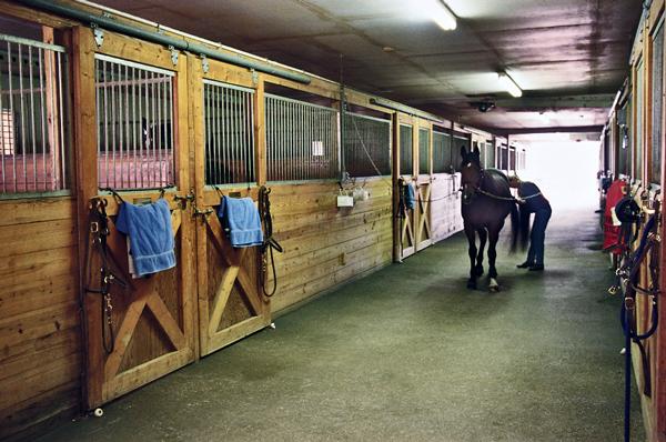 Topline Equestrian Center