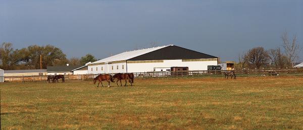 Topline Equestrian Center