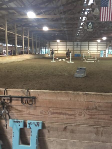 Wild About Horses Equestrian Center