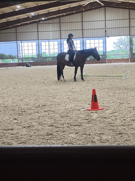 The Equestrian Center at Whispering Farms LLC