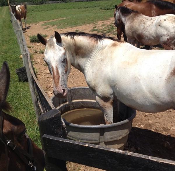 Touch Point Farm