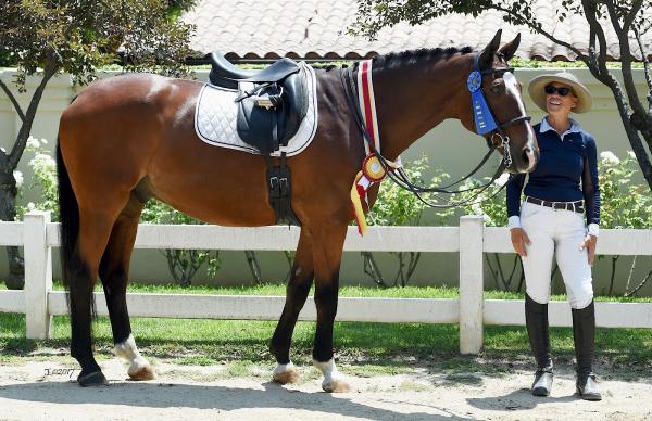 Lincourt Stables