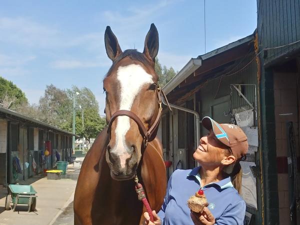 Lincourt Stables