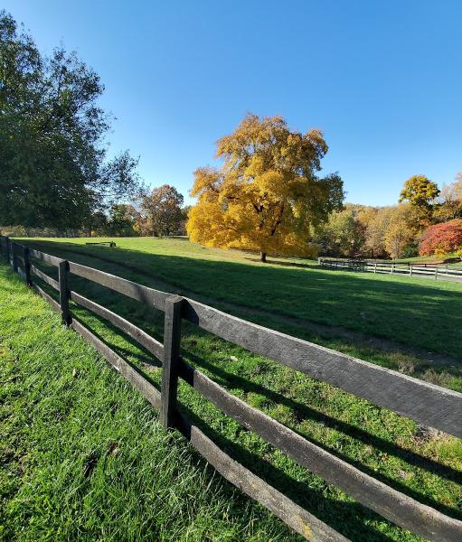 Ashford Farm