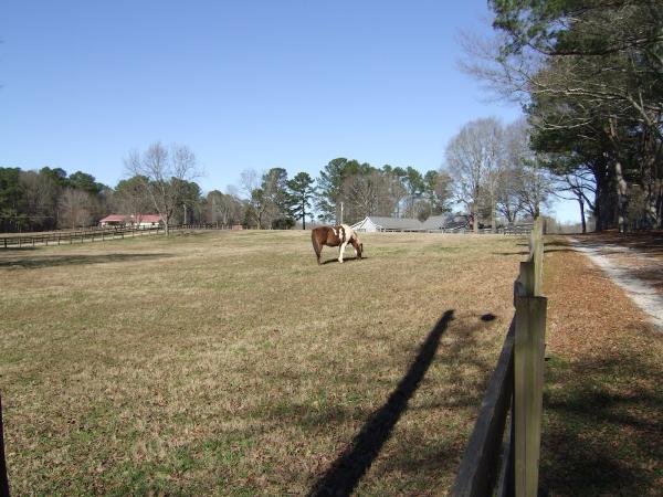 Trickum Creek Ranch