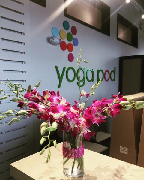 Yogapod Fort Collins