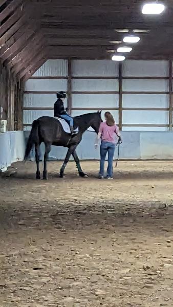 Castle Creek Farms Equestrian LLC