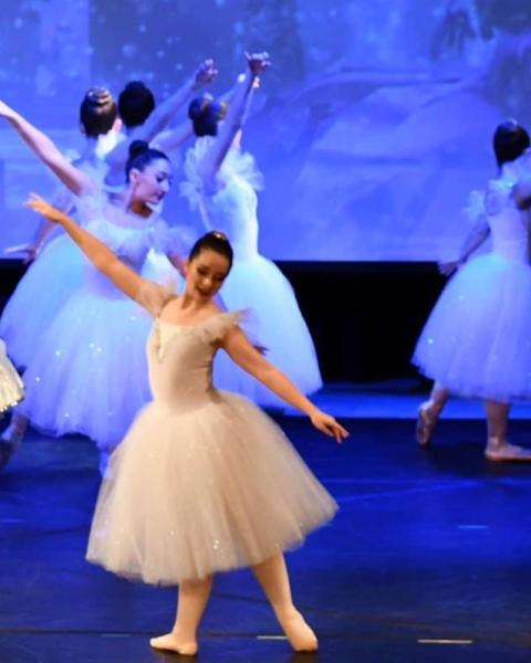 Hudson River Performing Arts