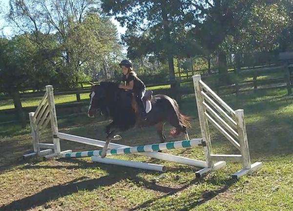 Refugio Farm Equestrian Center