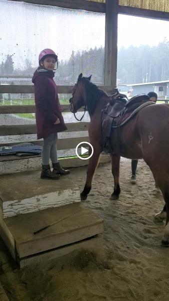 All Tacked Up Horse Riding Academy