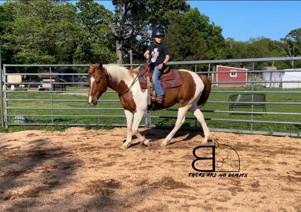 Borderless Horsemanship