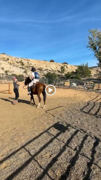 Dixie Trail Rides