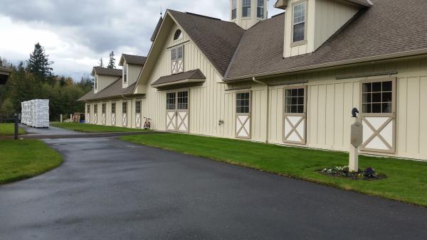 Pegasus Training and Equine Rehabilitation Center