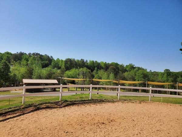 Cannon Equine Instruction