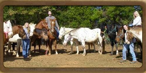 Cannon Equine Instruction