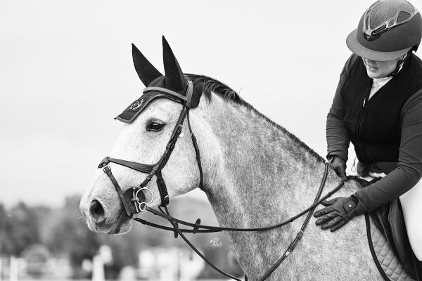 JJ Sporthorses USA