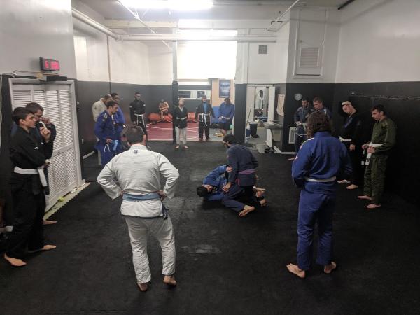 Apex Combat Sports
