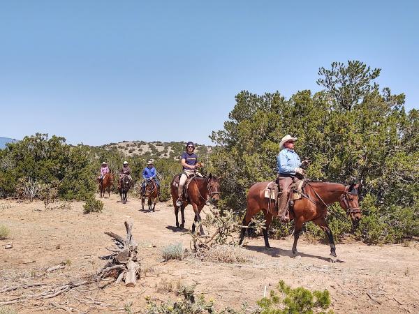 Turquoise Trail Pleasure Riding