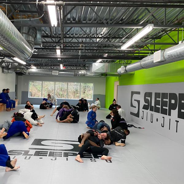 Sleeper Jiu Jitsu