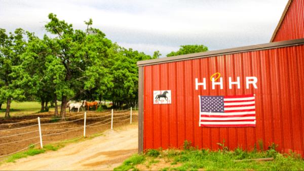 Heavenly Halo Horse Ranch