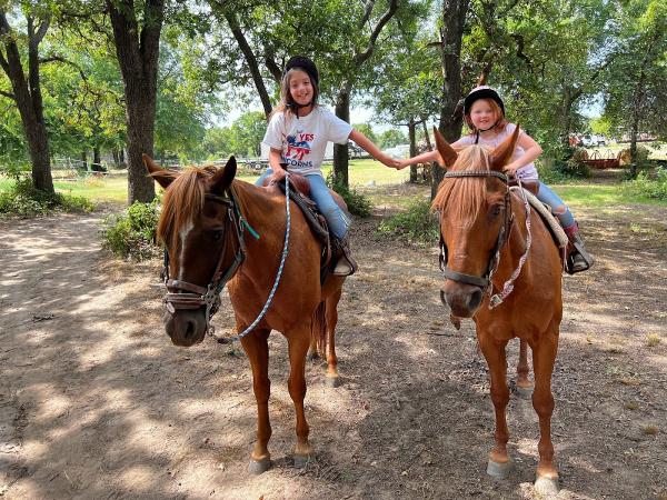 Heavenly Halo Horse Ranch