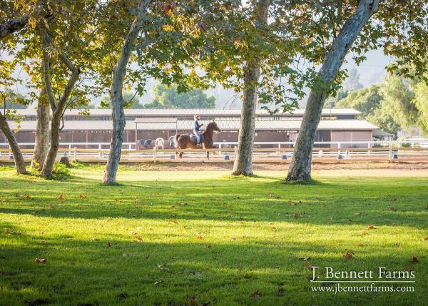 J. Bennett Farms