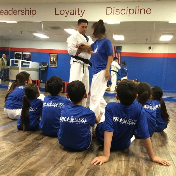 Kali USA Martial Arts School