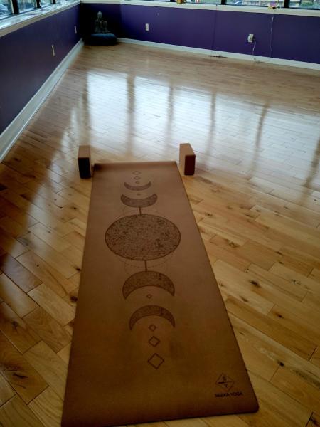 Samadhi Yoga Syracuse