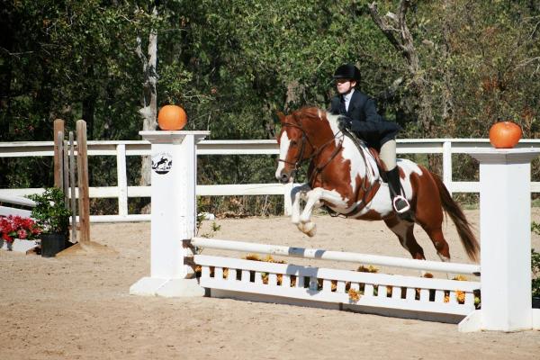 Colonial Equestrian Center